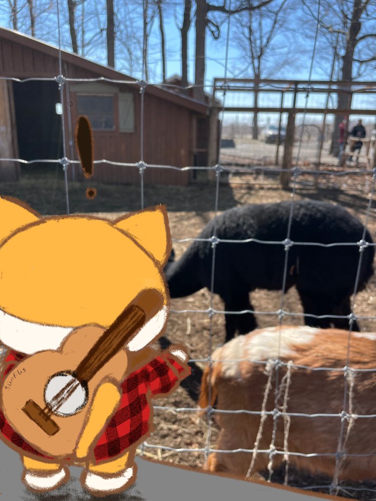 fili 🌻 tweet media