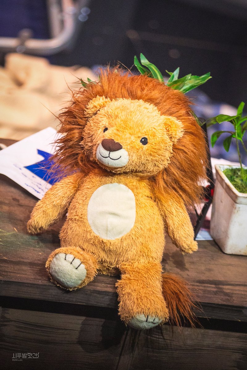 시루 방앗간 tweet media