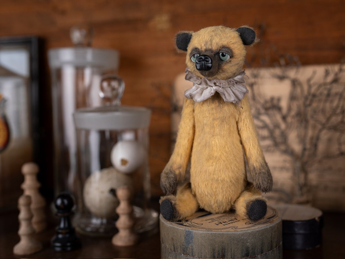 nicomeem tweet media