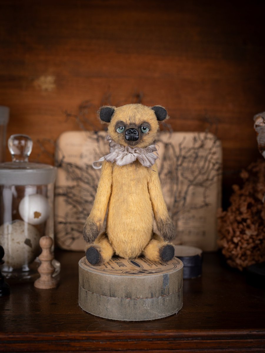 nicomeem tweet media