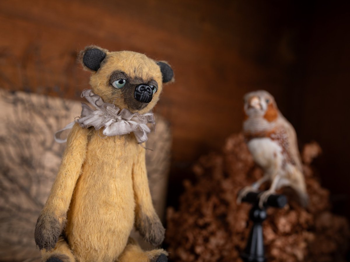 nicomeem tweet media