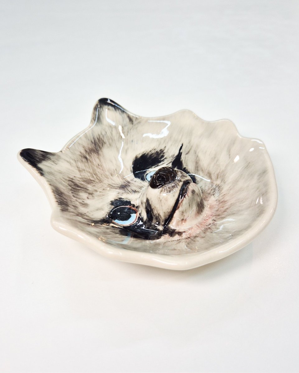 𝑤𝑎𝑛, 세라믹 스튜디오 완 tweet media