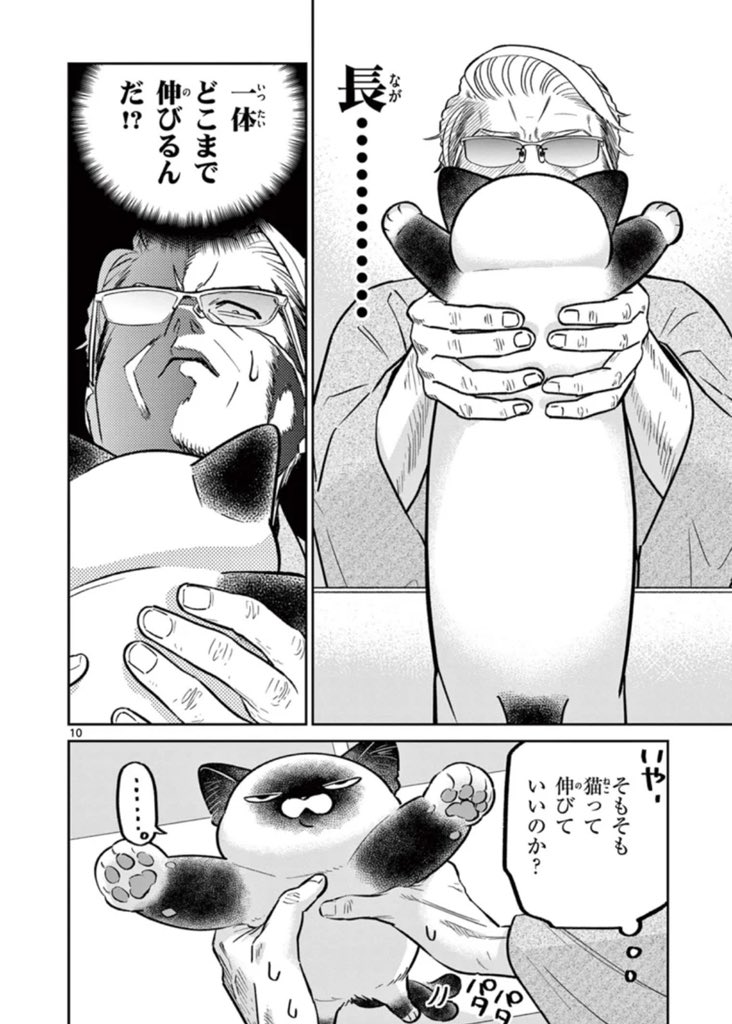 オヤジとにゃん吉🐾公式 tweet media