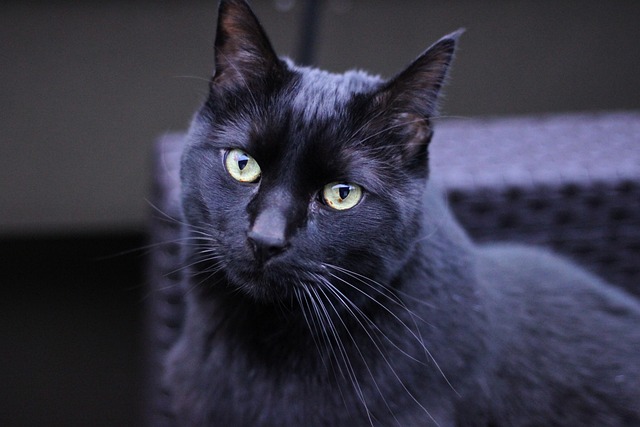 Sam Daniels tweet media