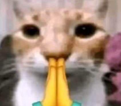 ‘ SERENA. tweet media