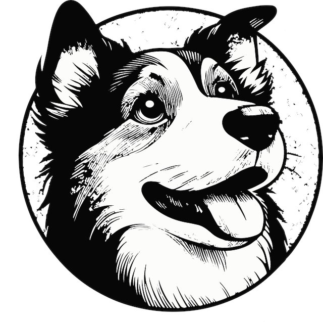 Cassie Vasey tweet media