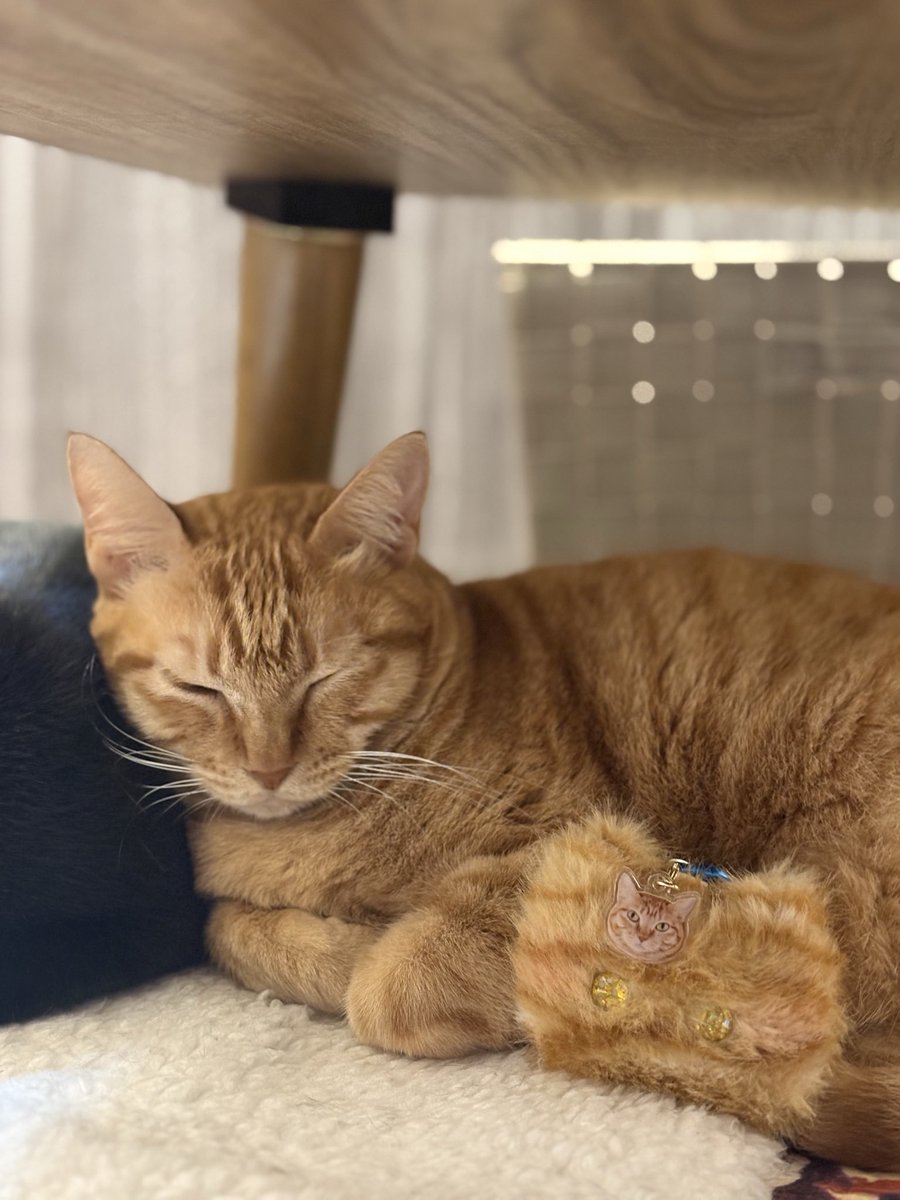 ななみ tweet media