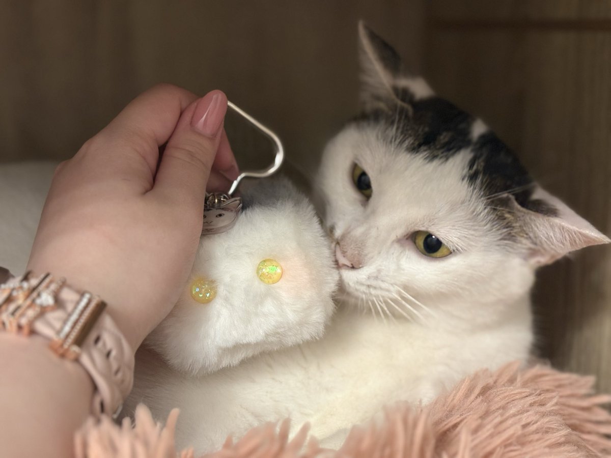 ななみ tweet media