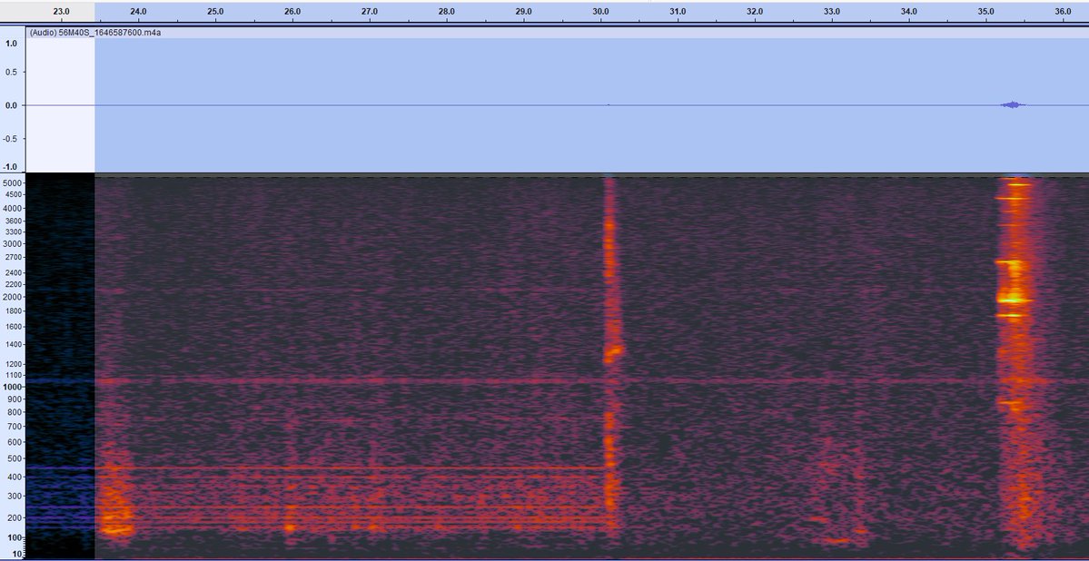 Craig Capel 🏴󠁧󠁢󠁥󠁮󠁧󠁿🇪🇸🇬🇧🇦🇺 tweet media