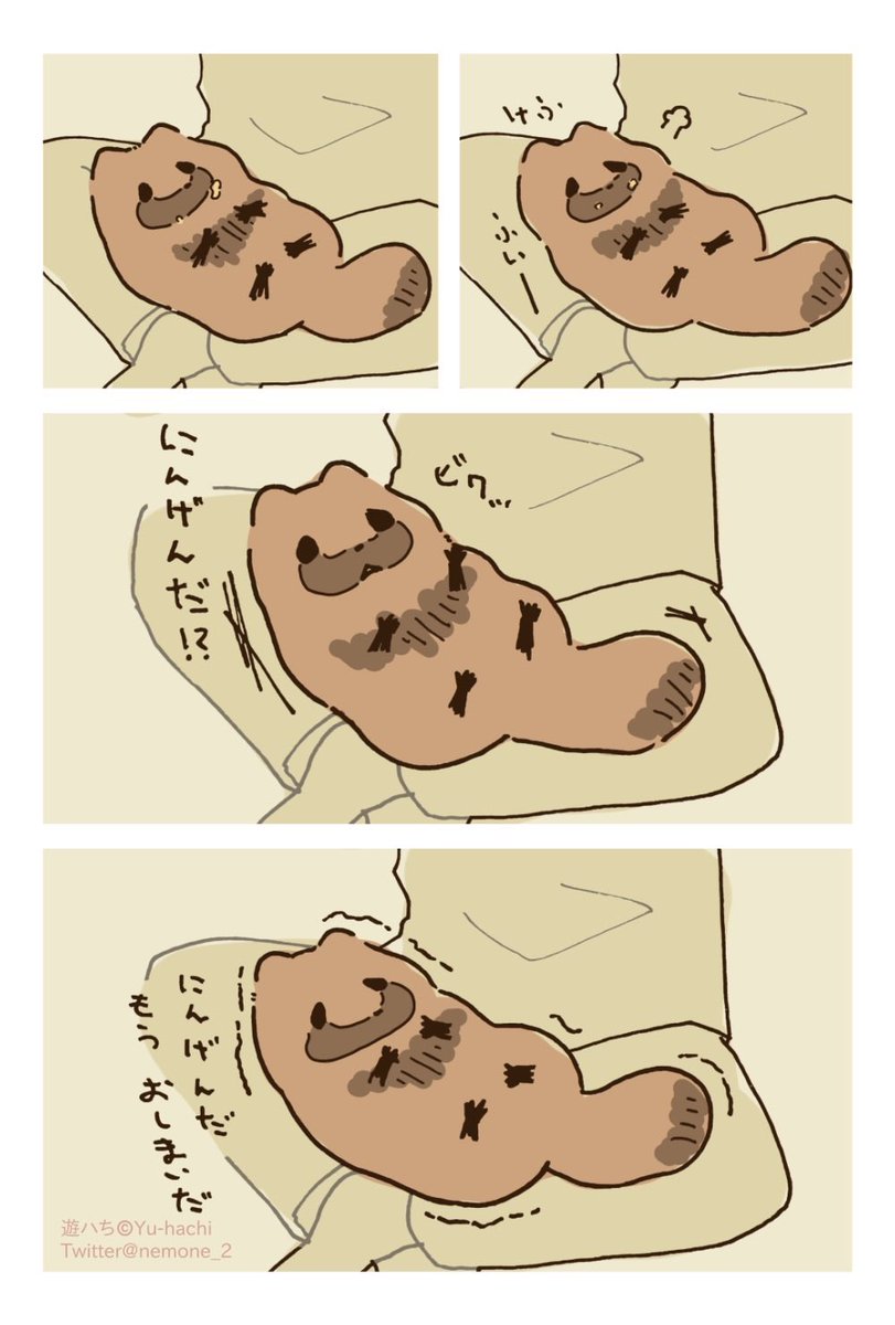 (2/3)