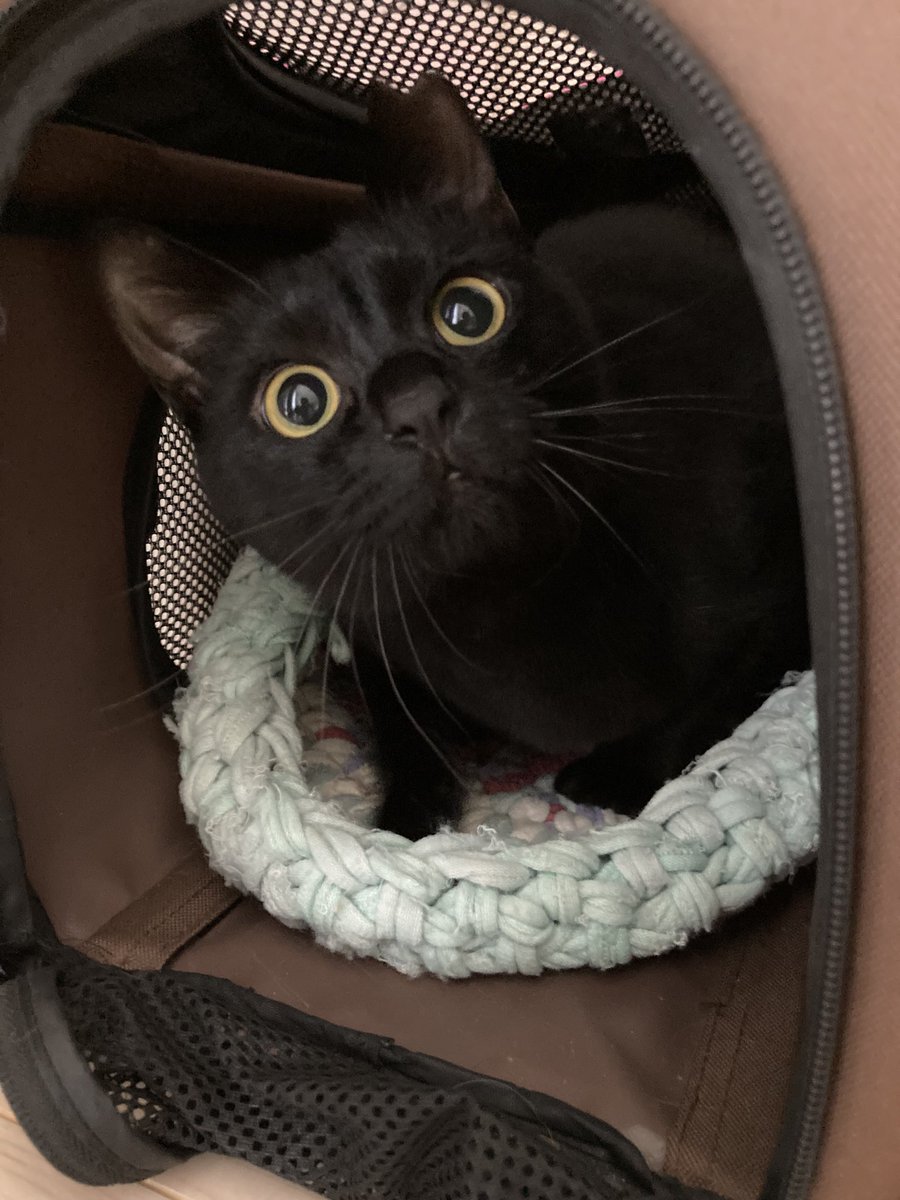 HIROTAKAfeat萌華(HORIZON) tweet media