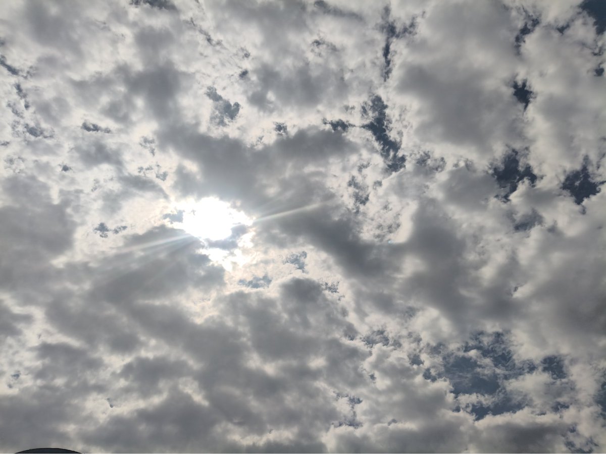 含羞紫罗兰 🏳️‍⚧️ tweet media