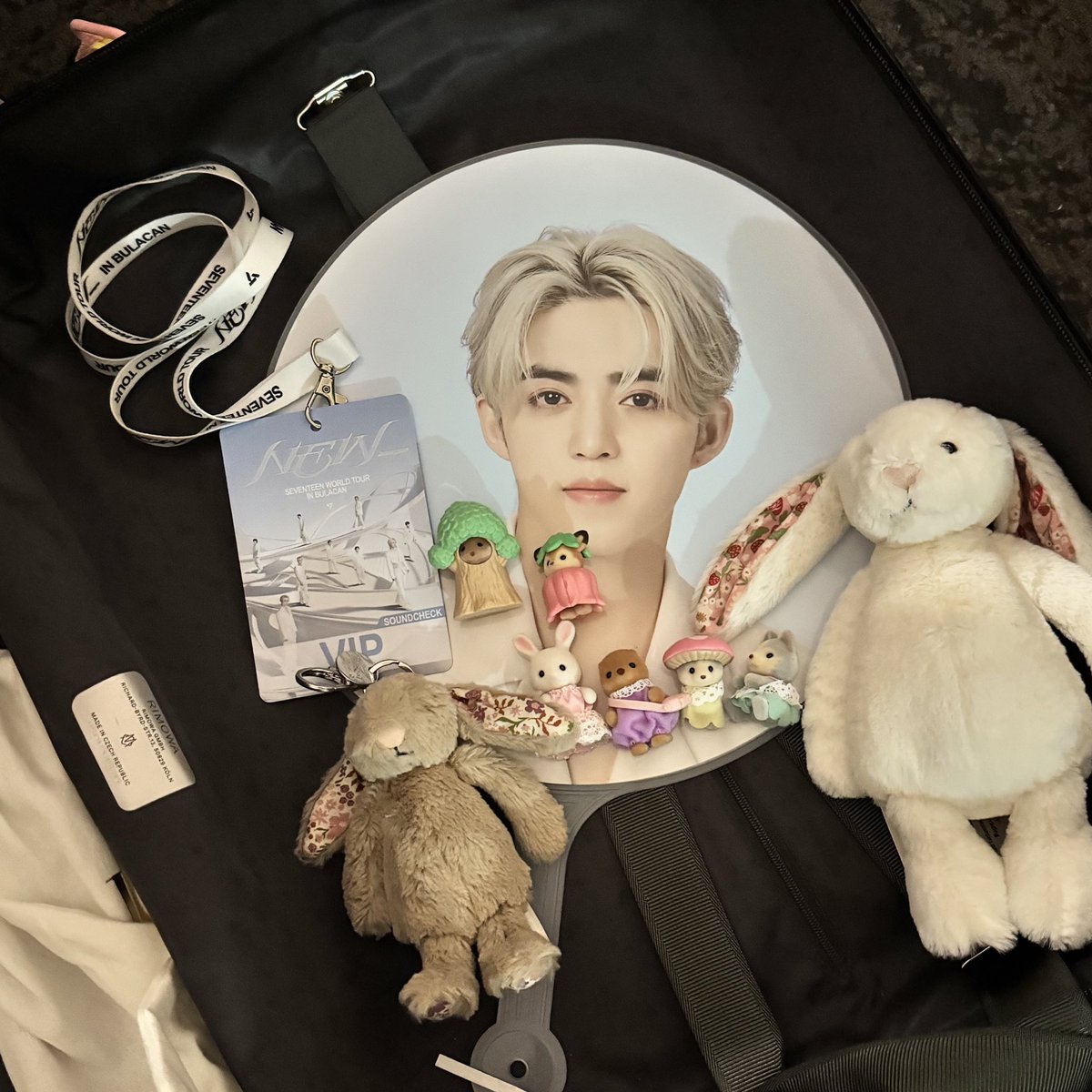 haechieO_o's tweet image. going home &amp;amp; packing the #essentials first🐰🐰