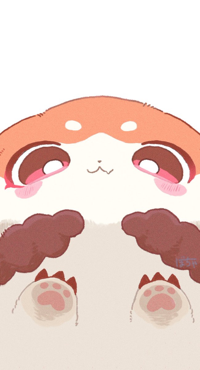 ぼちゃ tweet media