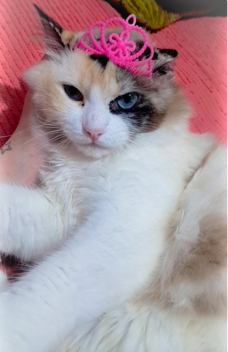 Via ⚢ ⊙⊝⊜ VAI VER O BTS tweet media