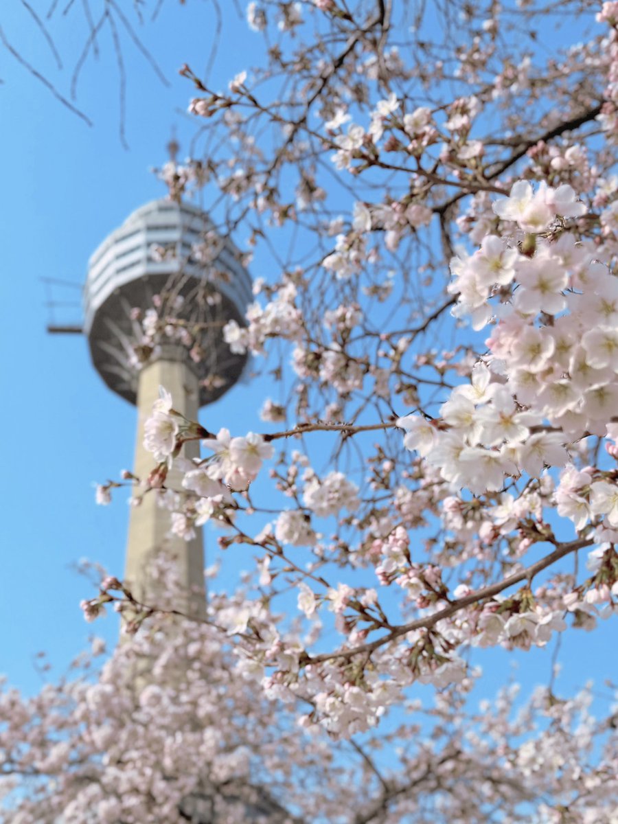 BURNINg! tweet media