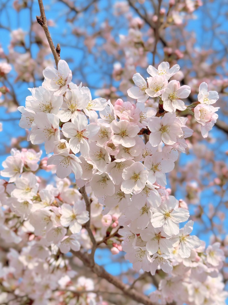 BURNINg! tweet media