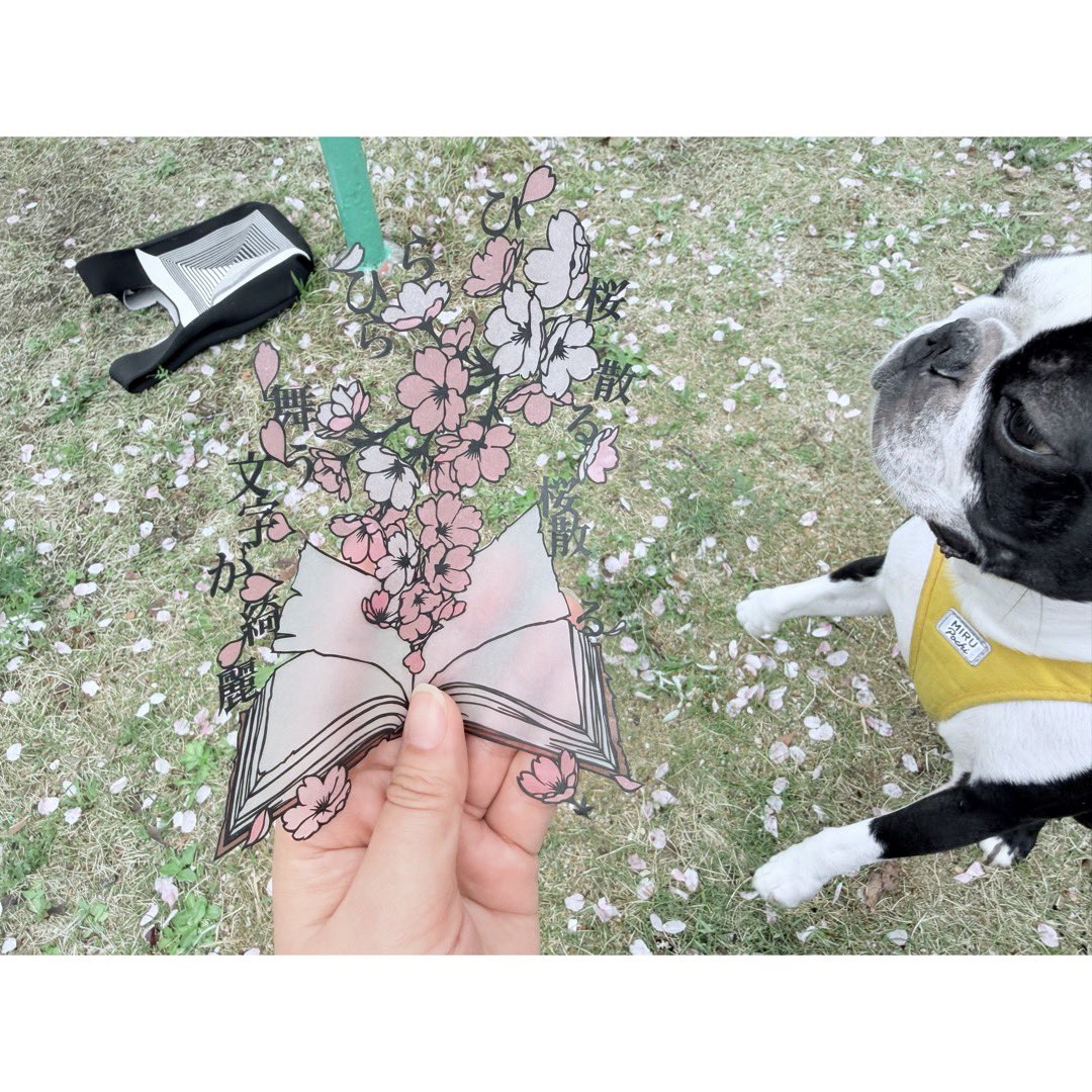 そえだ tweet media