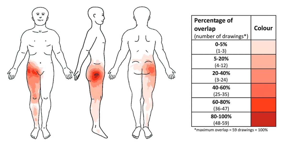 Nick Ilić tweet media
