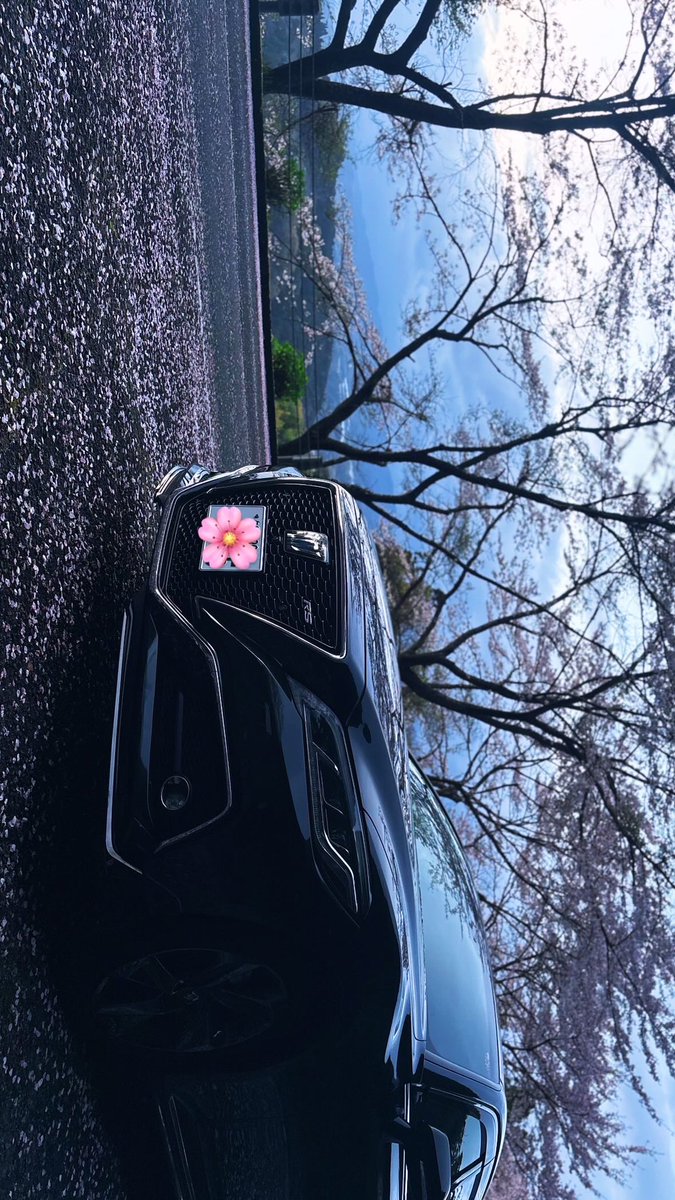 散る前に📸
