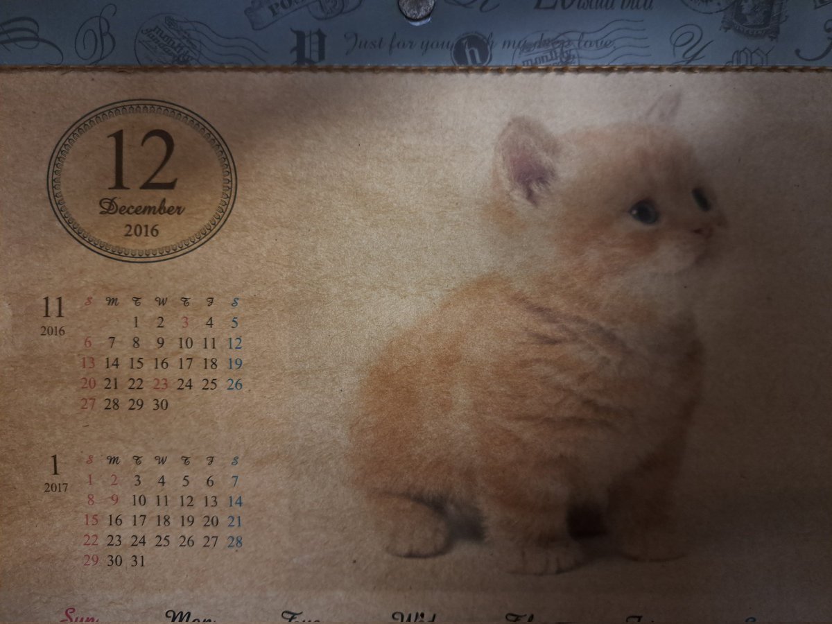 豊川エッジショット tweet media