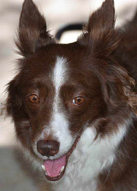 sigurd28851's tweet image. 네가 있어서 다행이야 Elio cảm ơn vì đã 🌊 kiên nhẫn lắng nghe شكراً 🥹 لقلبك الجميل

#BuildingWith