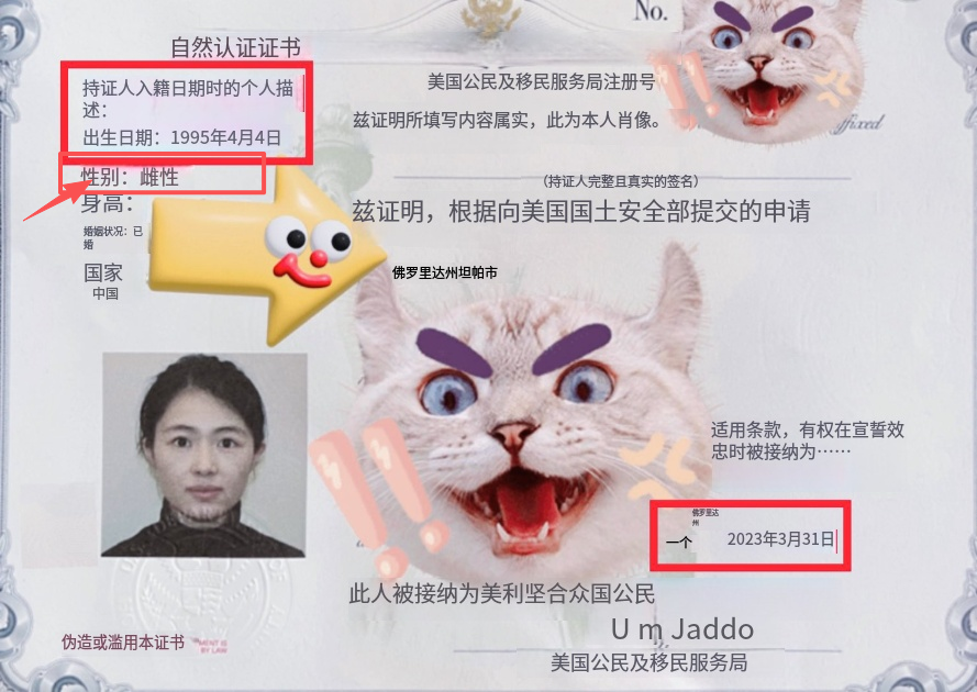 虹 Fang tweet media