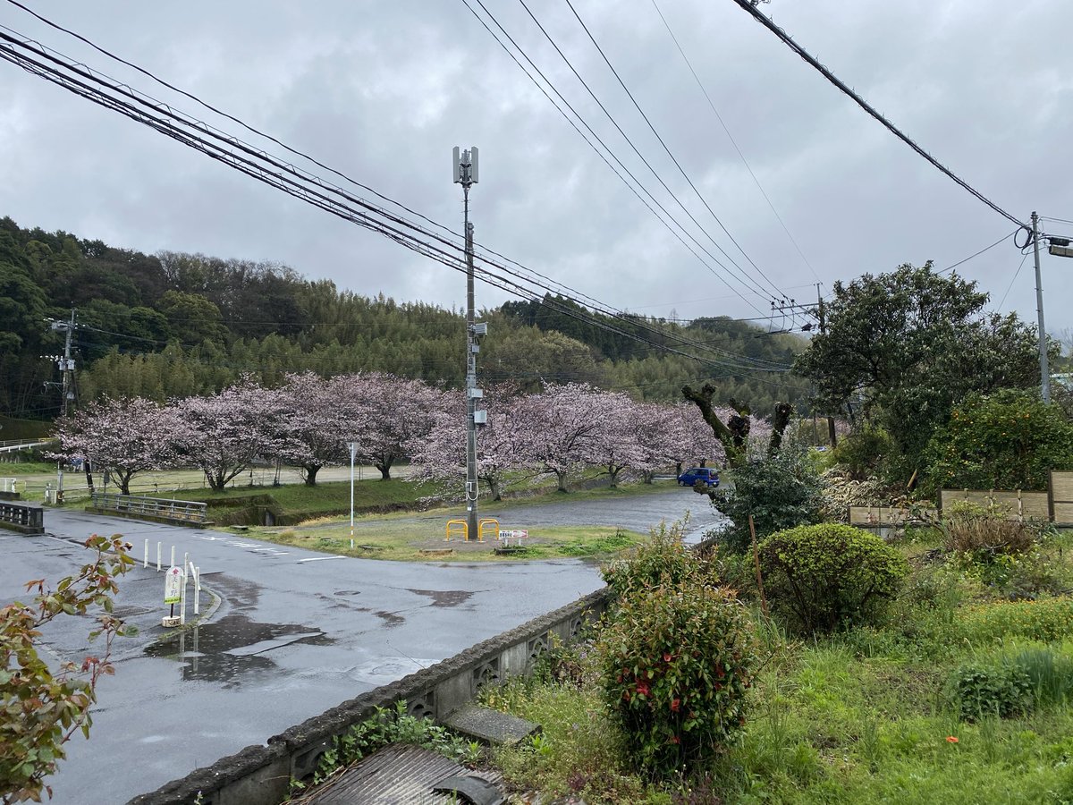 🐈‍⬛ぶん🐈 tweet media