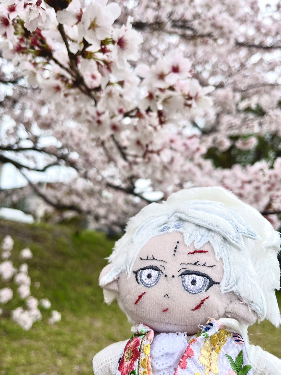 いつか tweet media