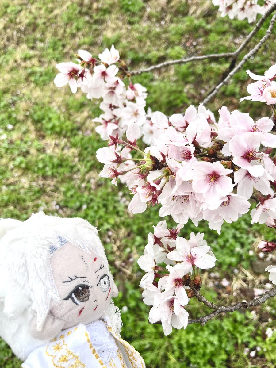 いつか tweet media