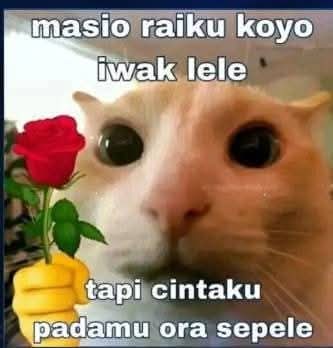 Es Teh Mark 2 tweet media