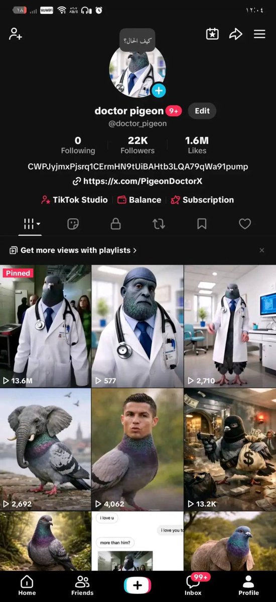 Pigeon Doctor tweet media