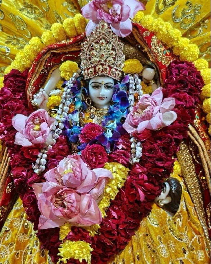 Maa BaglaMukhi Mandir tweet media