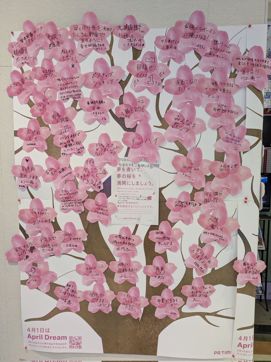 YOKOSUKA889（093） tweet media