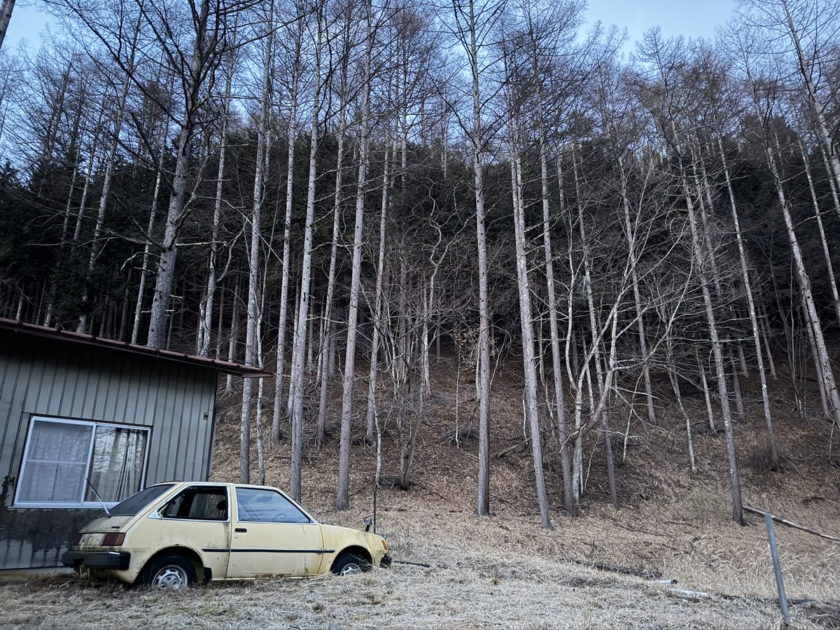 ゆうた tweet media