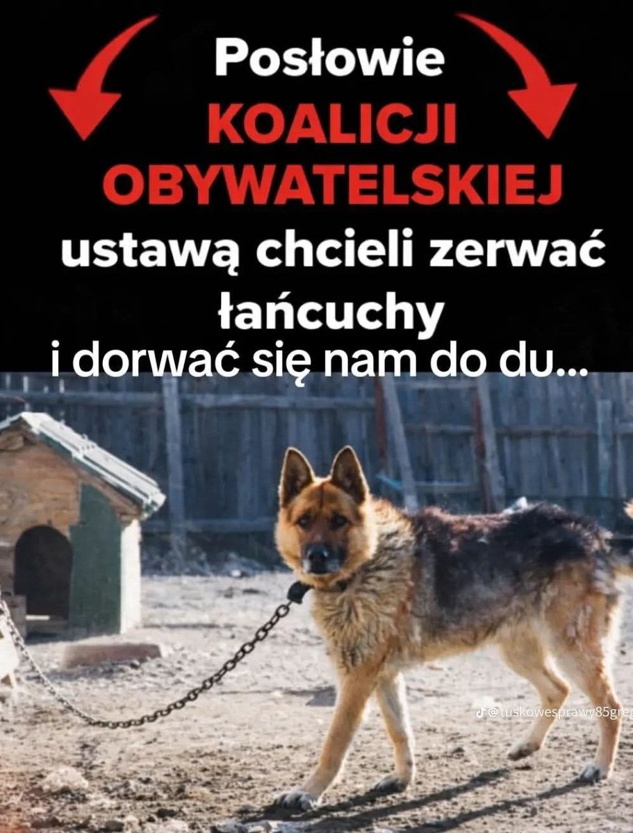 Wieslaw Macioch tweet media