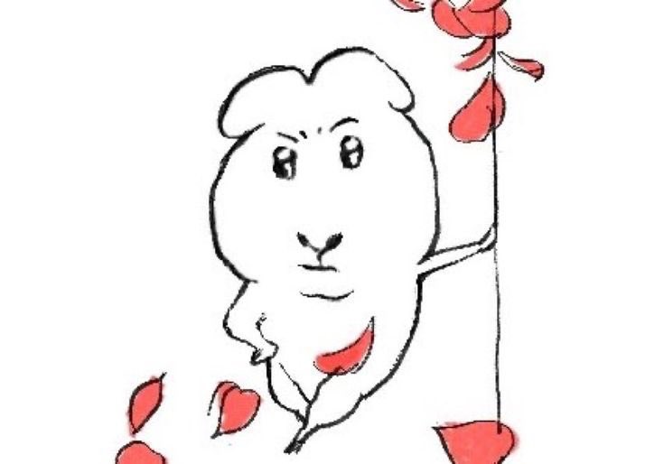 뜨마🧭🌊 tweet media