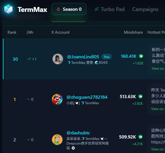 🐬TermMax 雯雯 🌊RIVER tweet media