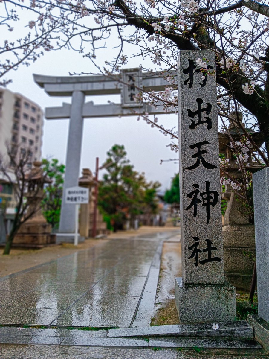 めろん🍈FIRE生活 tweet media