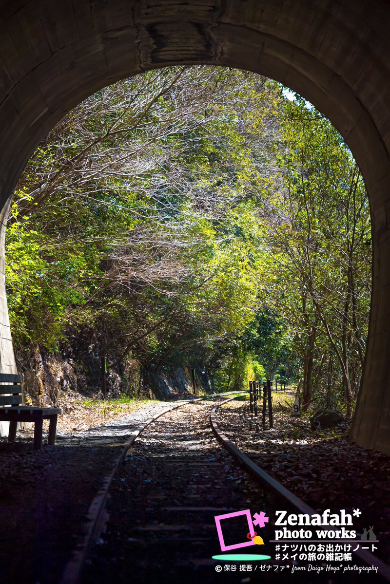 ゼナファ* tweet media