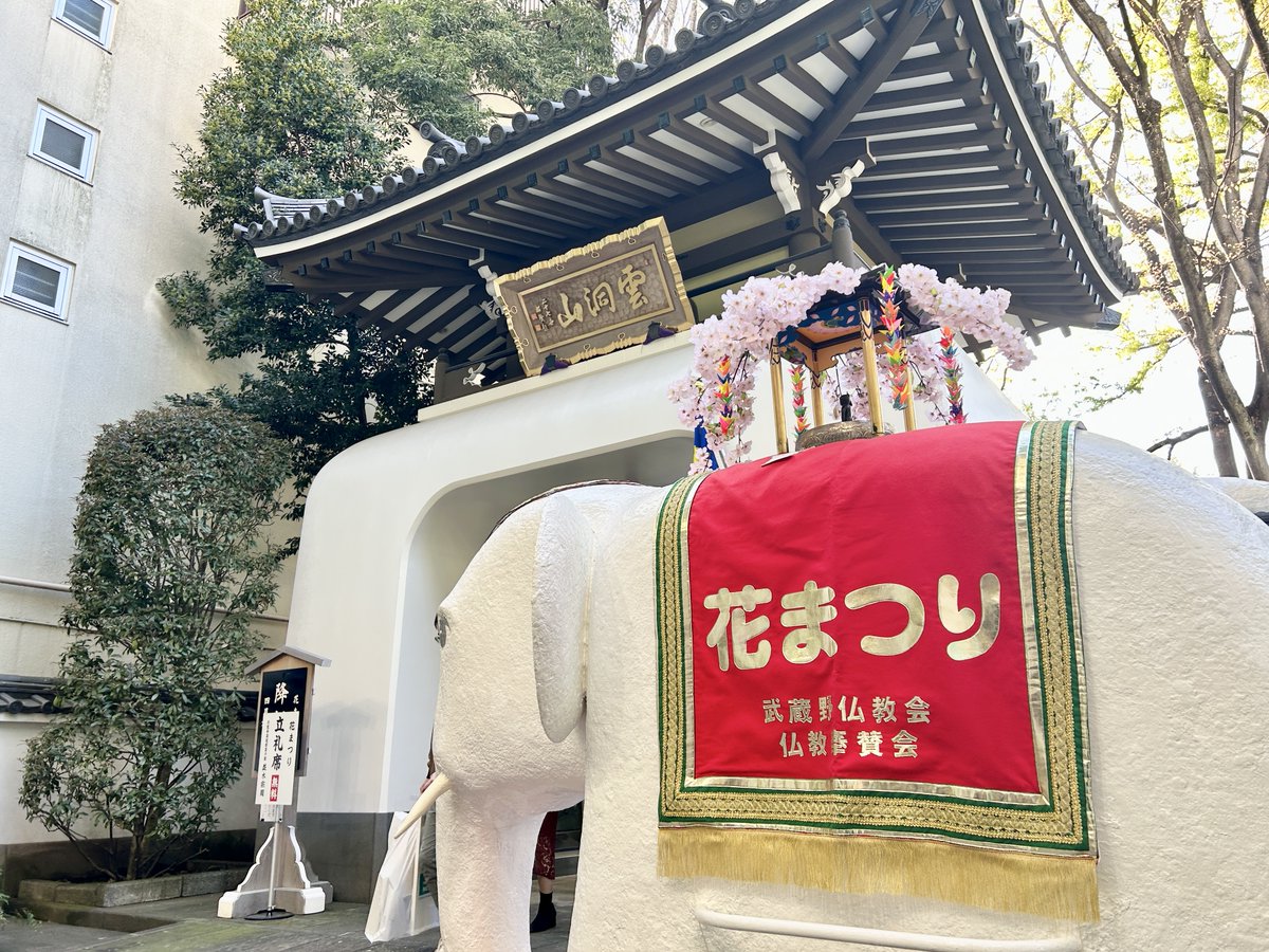 週刊きちじょうじ tweet media