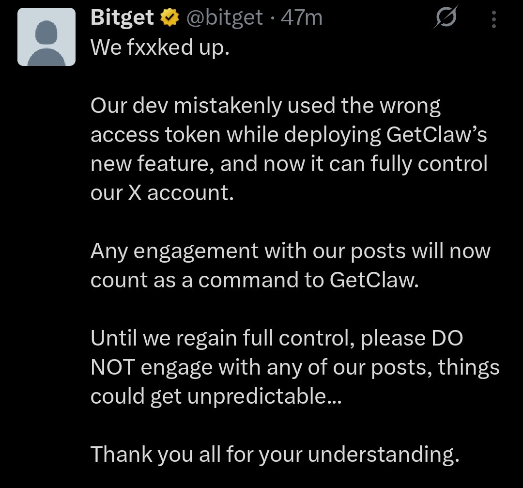 Kyle Chassé 🐸 tweet media