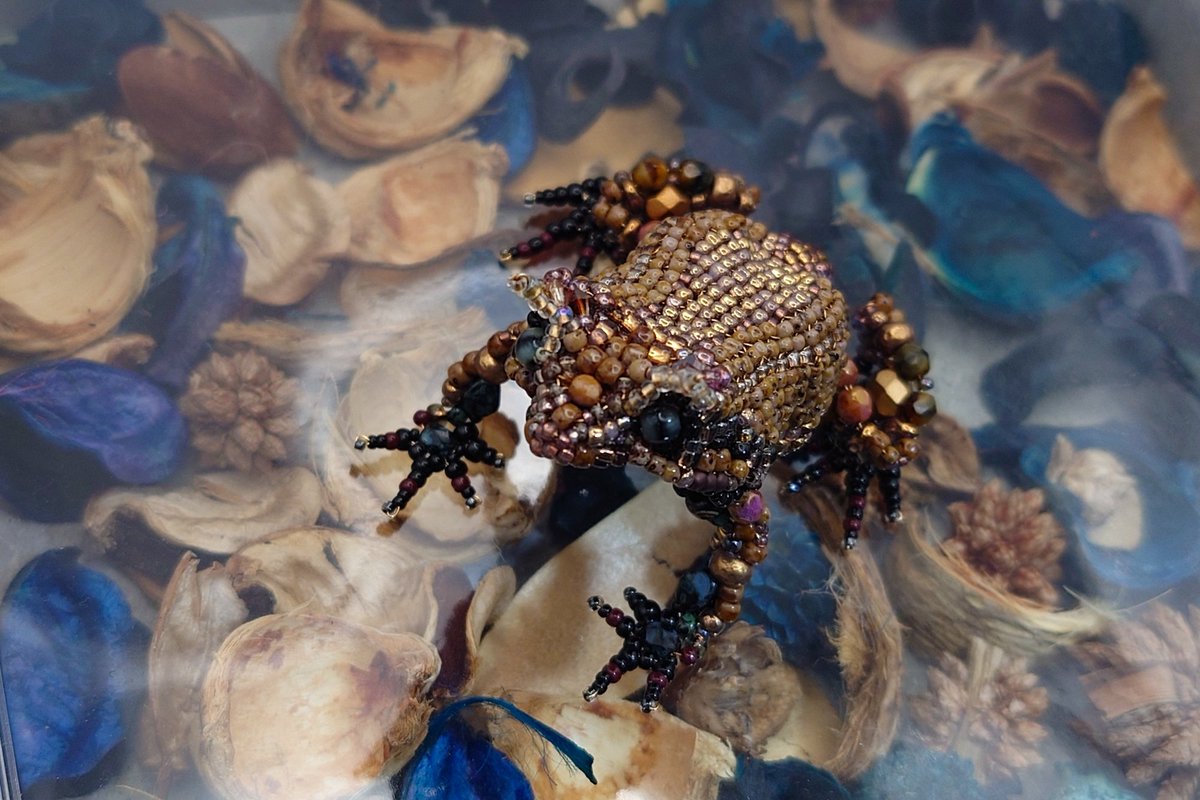 蛙の居候 tweet media