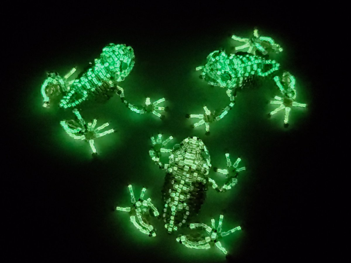 蛙の居候 tweet media