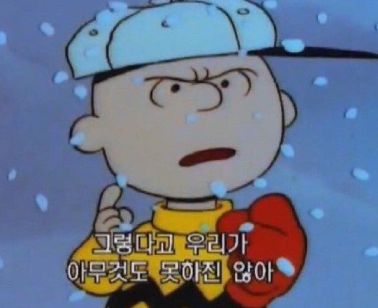 고사리ㅡ고양이집셋방살이 tweet media