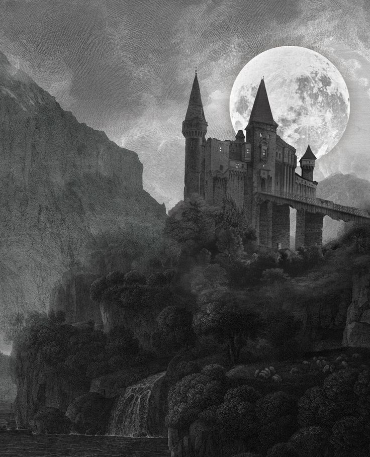 Fischudidi tweet media