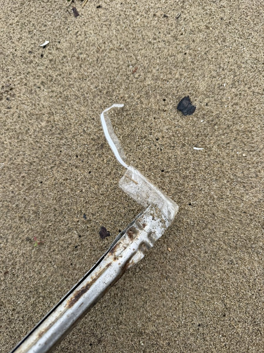 YOKO🌏💙 tweet media