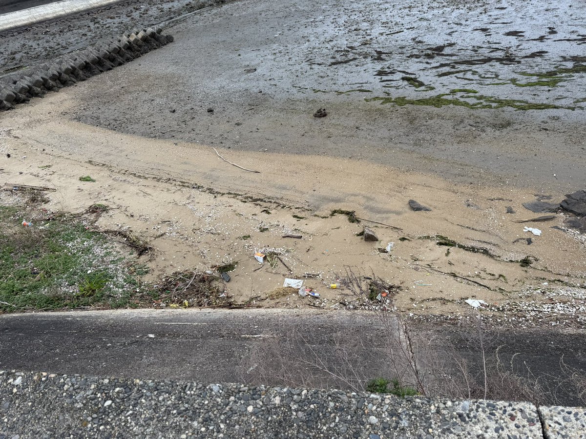 YOKO🌏💙 tweet media