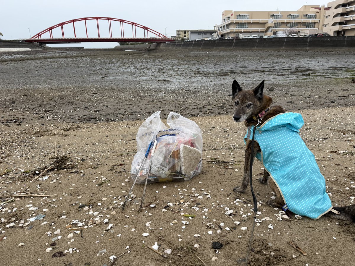 YOKO🌏💙 tweet media