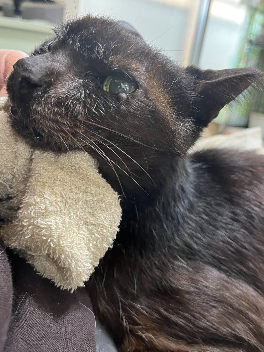 なかのひと的な2 tweet media